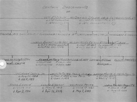 chanel cleeton wikipedia|Chanel cleeton perez family tree.